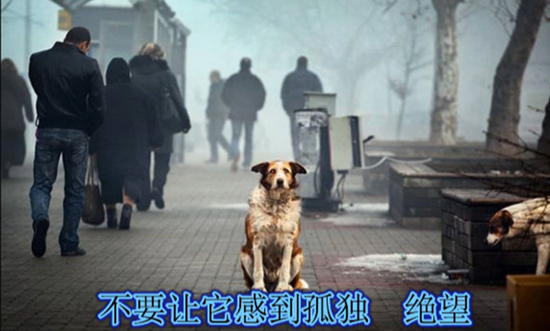 沙坪坝沙坪坝爱影圈微博微信转发案例